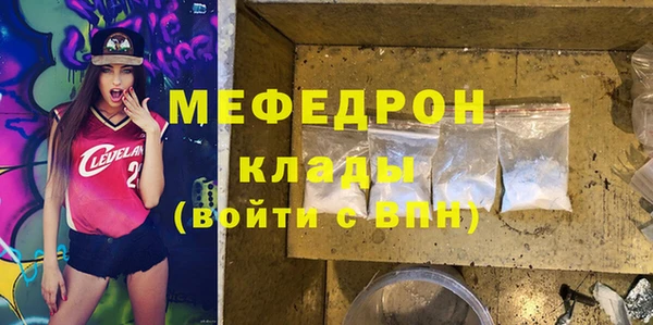 индика Богородск